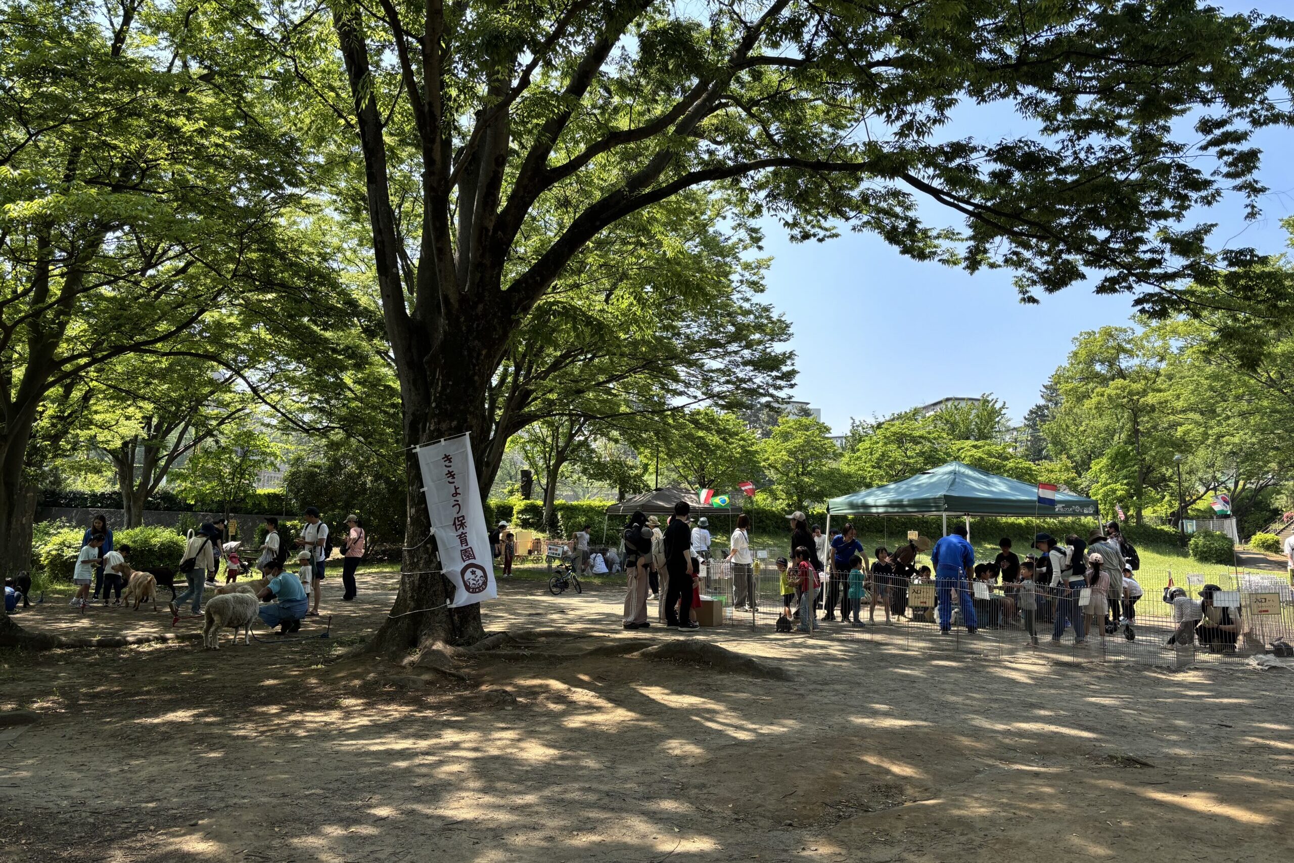 ふれあい動物園で、動物と触れ合う子どもたち