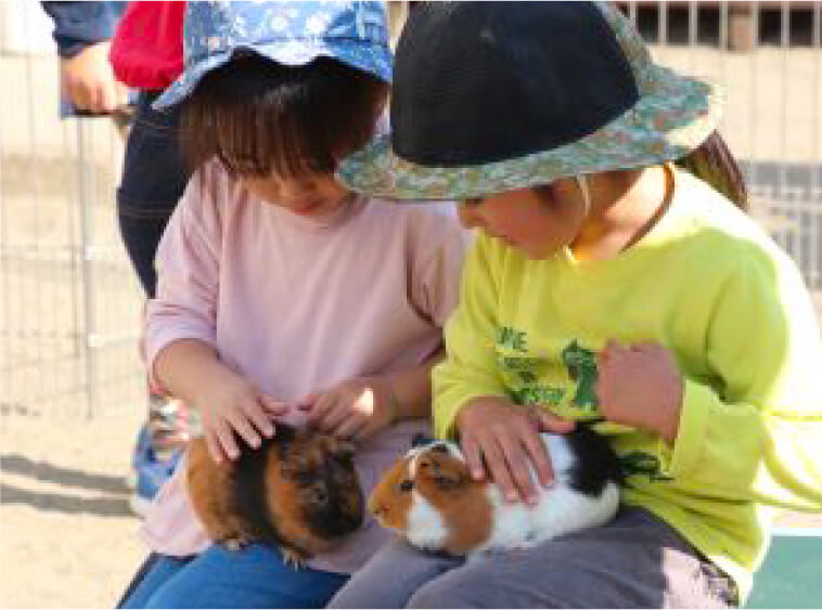 ふれあい動物園で膝の上のモルモットを優しく撫でる女の子二人